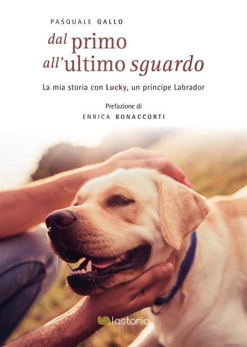Dal primo all’ultimo sguardo - Pasquale Gallo - ebook