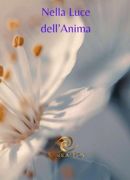 Nella luce dell'anima - Tara Nicoletti - copertina