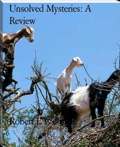 Unsolved Mysteries: A Review