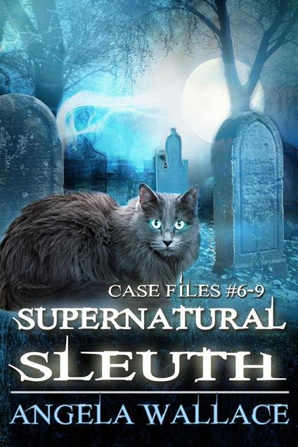 Supernatural Sleuth, Case Files #6-9