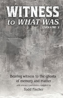 WITNESS to What Was: Volume 2 - Todd Fischer - cover