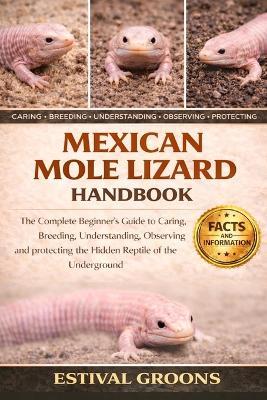 Mexican Mole Lizard Handbook: The Complete Beginner's Guide to Caring, Breeding, Understanding, Observing and protecting the Hidden Reptile of the Underground - Estival Groons - cover