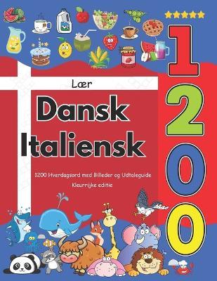 Lær Dansk Italiensk: 1200 Hverdagsord med Billeder og Udtaleguide: Kleurrijke editie - Emily Olsen - cover
