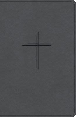 CSB Personal Size Giant Print Bible, Digital Study Edition, Charcoal Suedesoft Leathertouch - Csb Bibles by Holman - cover