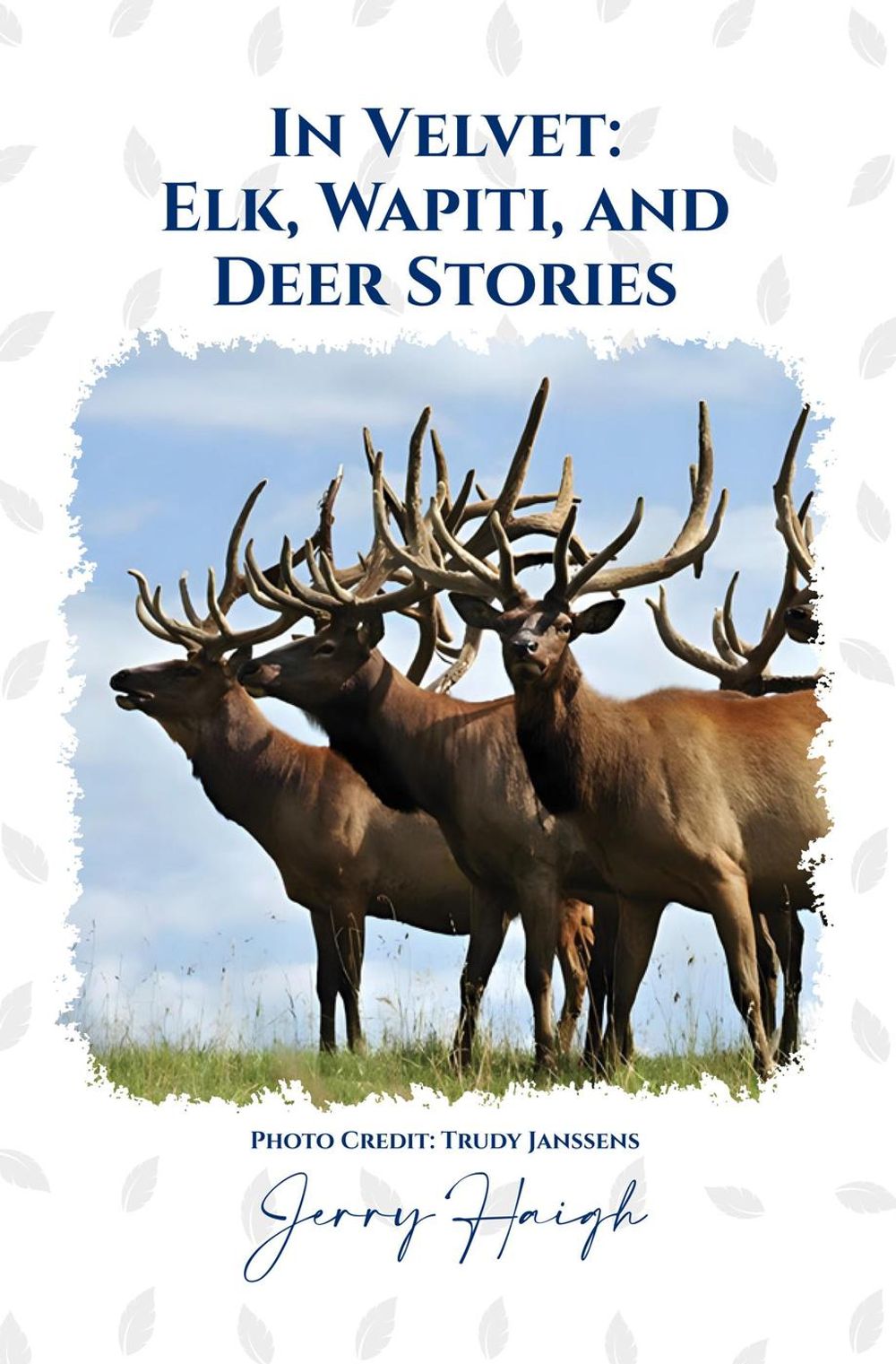 ibs