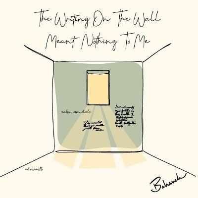 The Writing on the Wall Meant Nothing to Me - Bahareh Amidi - cover
